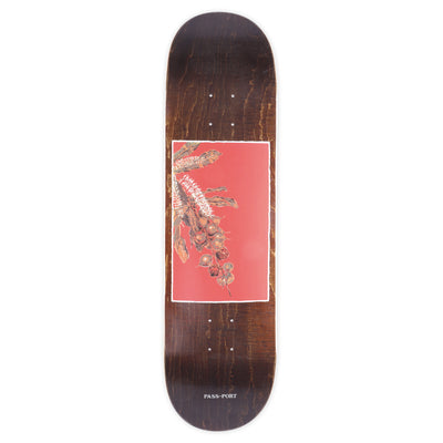 Pass~Port 'Macadamia' Native Fruit Series Deck - 8.125