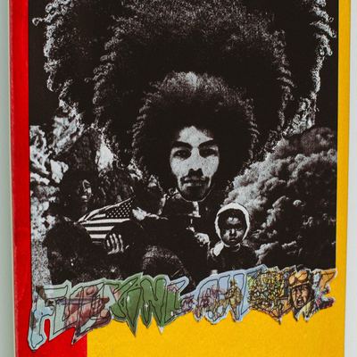 Fucking Awesome Sage Elsesser Hair Split Deck - 8.38