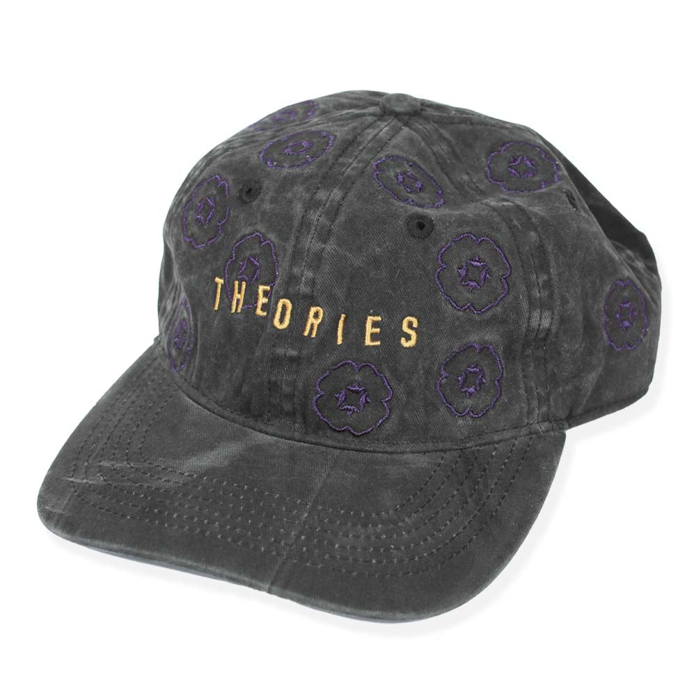Theories Architects Hat