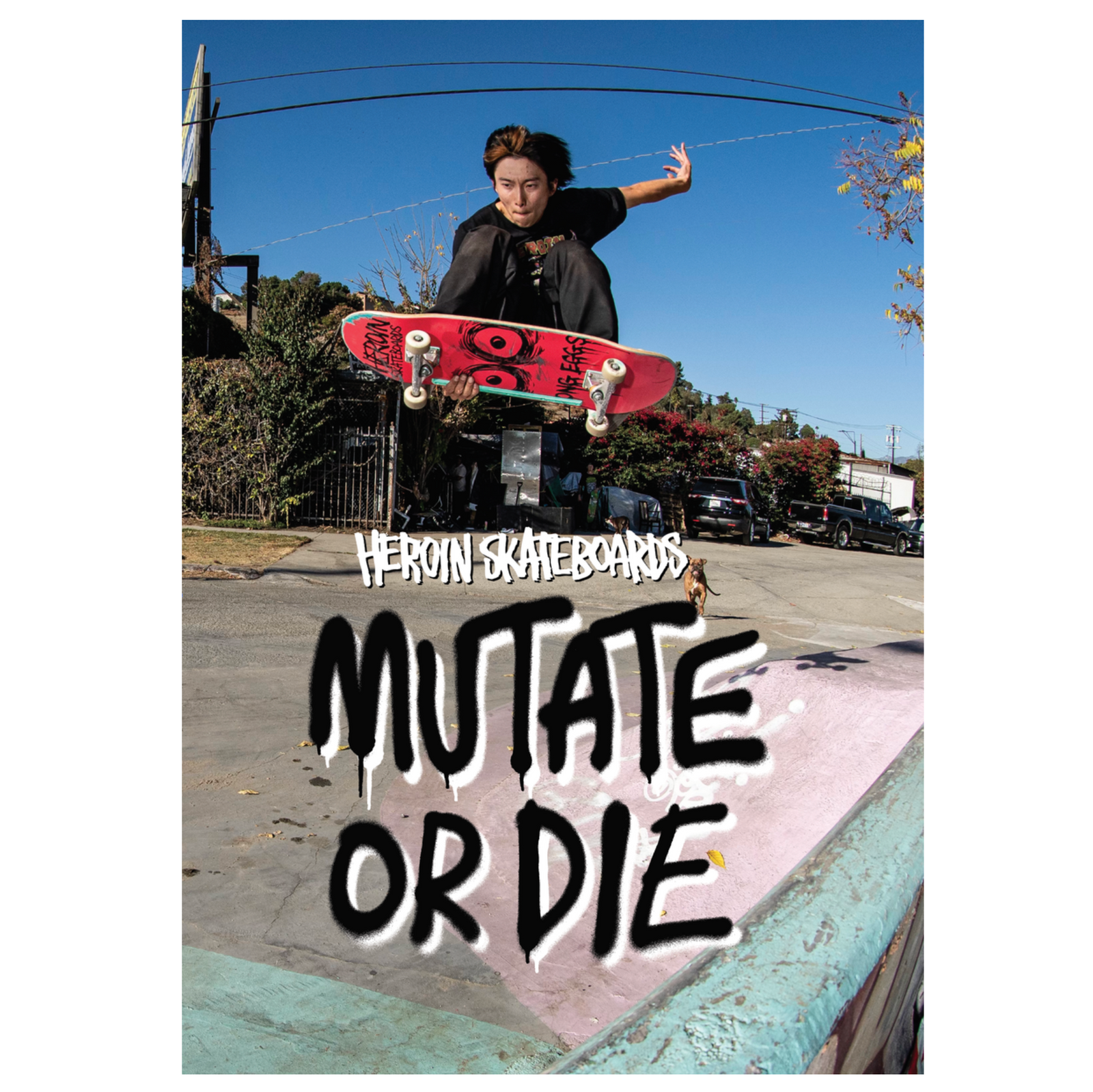 Heroin Mutate or Die DVD