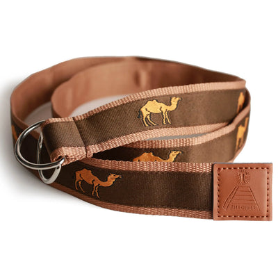 Theories Sahara Belt - Brown