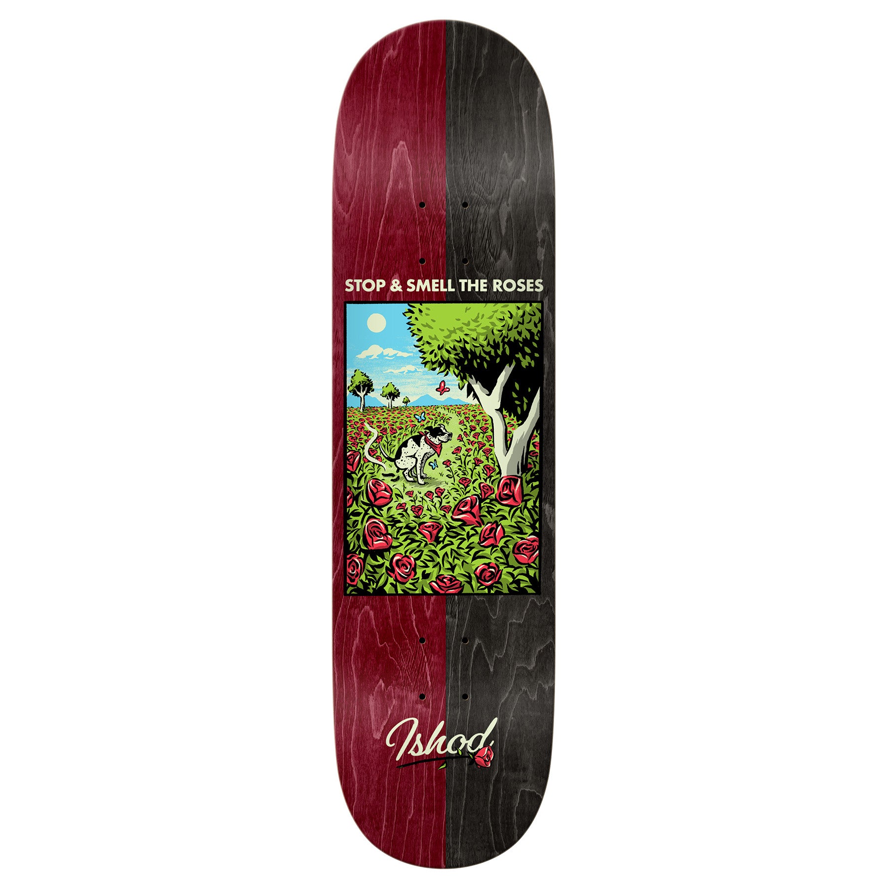 Real Ishod Wair 'Bright Side' Deck - 8.38 True Fit